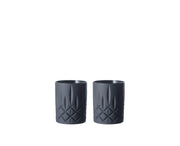 Nachtmann - NOBLESSE Whisky Tumbler (Set of 2) | 10 oz - Limolin 
