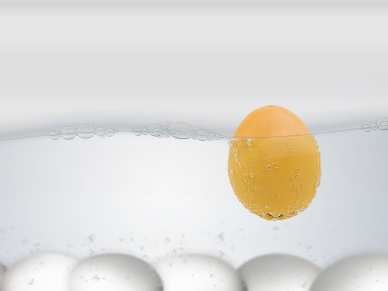 BRAINSTREAM - BEEPEGG Floating Egg Timer Barnyard CDU