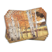 Pimpernel - Birch Beauty Mat 16X12" (Set of 4) - Limolin 