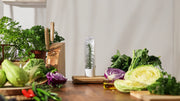 Prepara - Herb Savor Pod 20 White - Limolin 