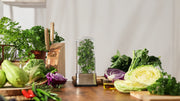 Prepara - Herb Savor Stainless Steel - Limolin 