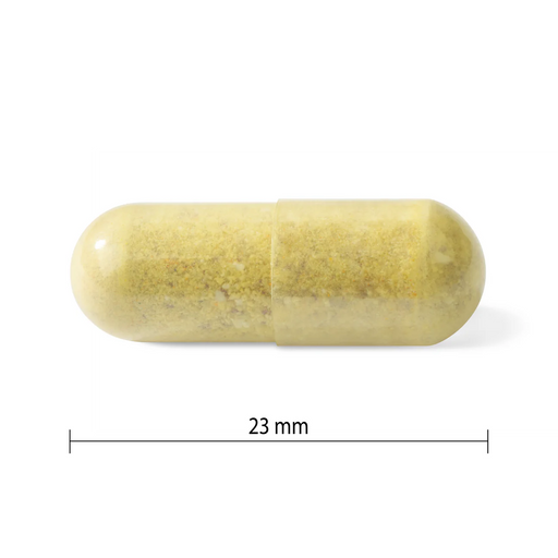Progressive - MultiVitamins Active Men 120Vcap - Limolin 