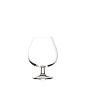 RCR - Invino XL Brandy Snifter (Set of 6) - Limolin 