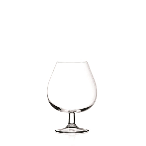 RCR - Invino XL Brandy Snifter (Set of 6) - Limolin 