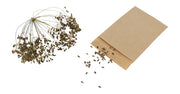 REDECKER - Seed Bags 10/Pk - Limolin 