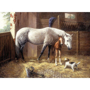 ROYAL - Large PBN New Friends - Limolin 