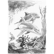 ROYAL - Mini SKBN Dolphins - Limolin 