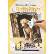 ROYAL - PBN Labrador Puppy - Limolin 