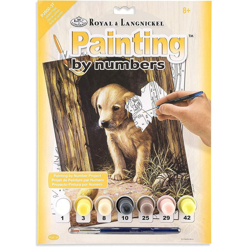 ROYAL - PBN Labrador Puppy - Limolin 