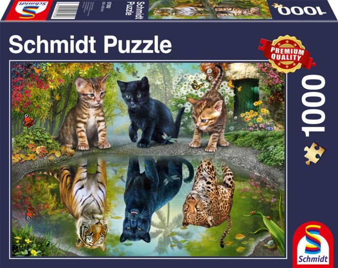 Schmidt Spiele - Puzzle - Dream Big! (1000-Piece Puzzle) - Limolin 