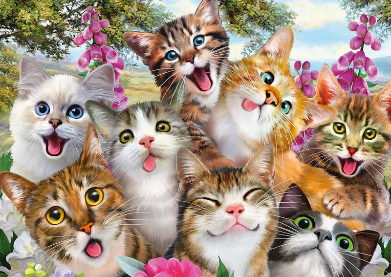 Schmidt Spiele - Puzzle - Pz500 - Cat Selfie - Limolin 