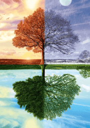 Schmidt Spiele - Puzzle - The Tree of The 4 Seasons (500-Piece Puzzle) - Limolin 