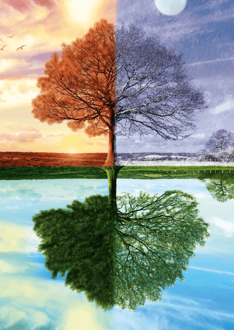 Schmidt Spiele - Puzzle - The Tree of The 4 Seasons (500-Piece Puzzle) - Limolin 