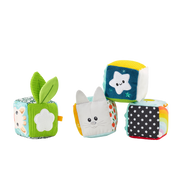 Sophie - Fresh Touch : Multi Activities Cubes - Limolin 