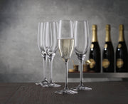 Spiegelau - AUTHENTIS - Champagne Flute (Set of 4) | 6 oz - Limolin 
