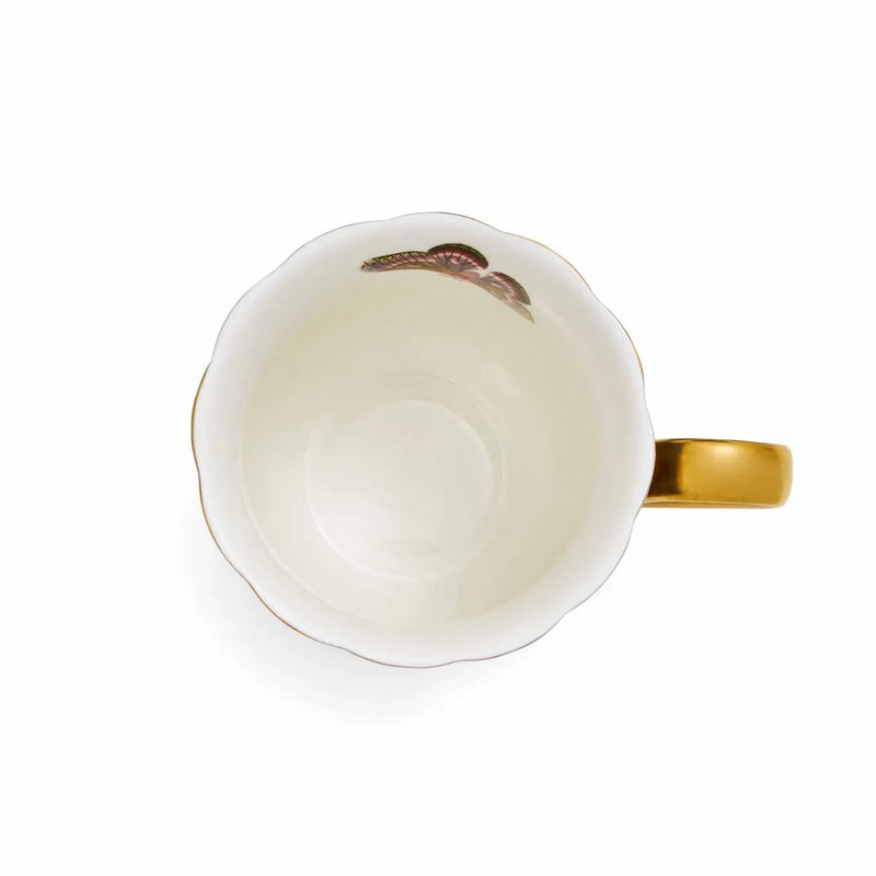 Spode - Creatures of Curiosity - Mug Black | 12 oz - Limolin 