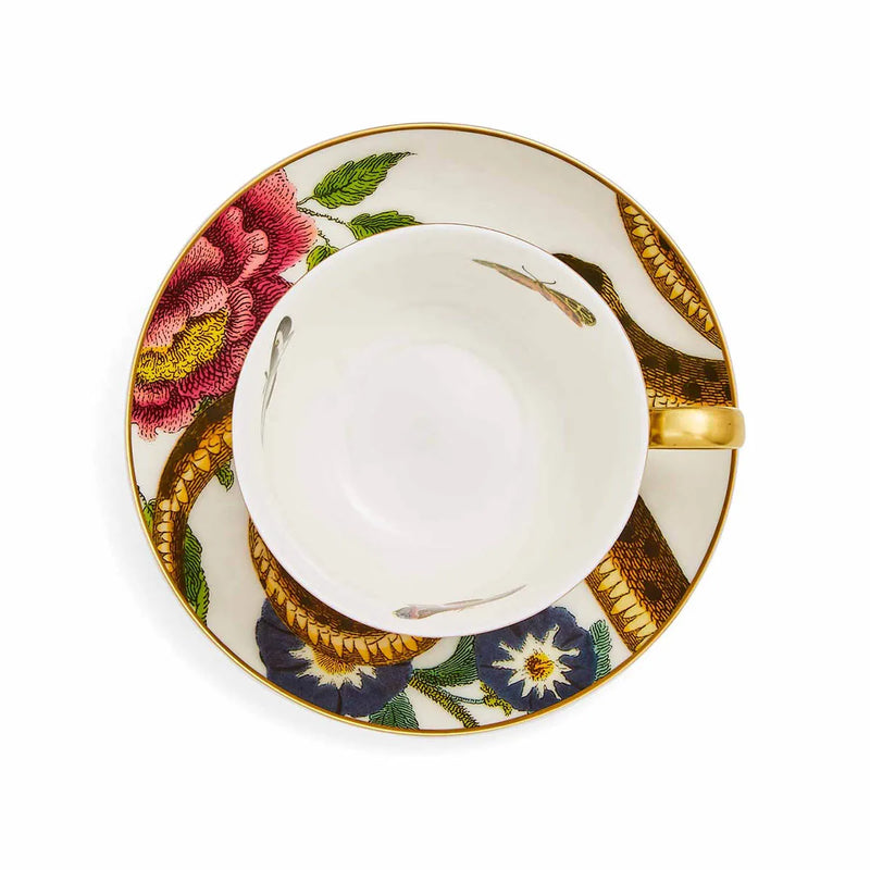 Spode - Creatures of Curiosity - Teacup & Saucer Coupe (Leopard/Snake) - Limolin 
