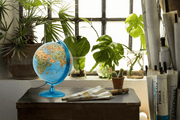 Tecnodidattica - Safari - French - 30Cm - Limolin 