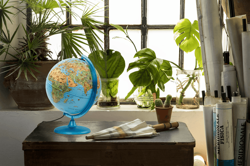 Tecnodidattica - Safari - French - 30Cm - Limolin 