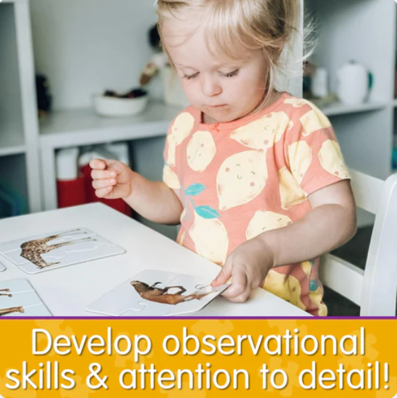 The Learning Journey - MATCH IT! - HEAD TO TAIL - Limolin 