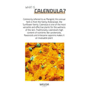 Weleda - Baby Calendula Baby Oil 200 ml - Limolin 