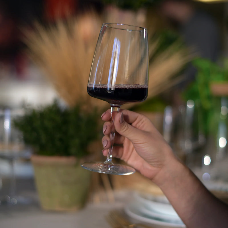 Bormioli Rocco - Planeo Red Wine x4