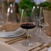 Bormioli Rocco - Planeo Red Wine x4