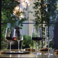 Bormioli Rocco - Planeo XL Red Wine (Set of 4)- 555mL