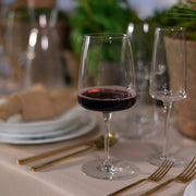 Bormioli Rocco - Planeo XL Red Wine x4 - 555ml Home & Kitchen