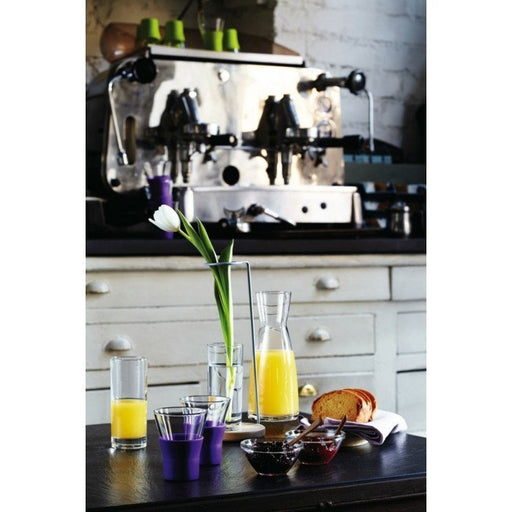 Bormioli Rocco - Ypsilon Carafe 0.25L Home & Kitchen