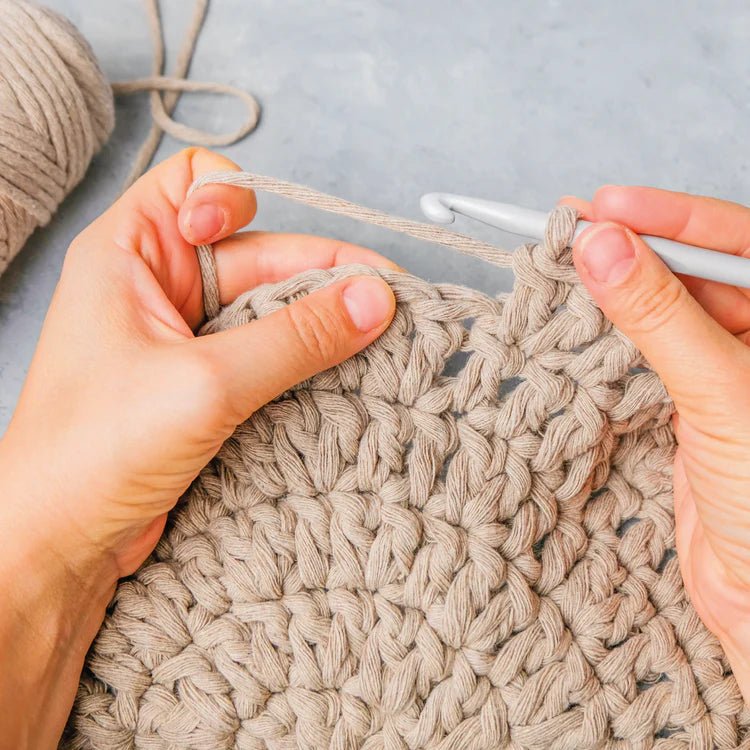 Broderie - SUCCULENT DIY CROCHET KIT Arts & Entertainment