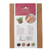 Broderie - SUCCULENT DIY CROCHET KIT Arts & Entertainment