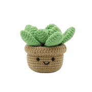 Broderie - SUCCULENT DIY CROCHET KIT Arts & Entertainment