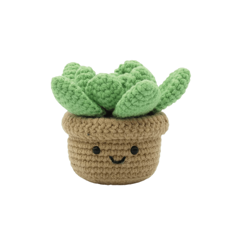 Broderie - SUCCULENT DIY CROCHET KIT Arts & Entertainment