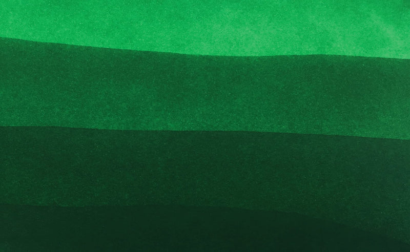 Clairefontaine - Ink Bottle Amazon Green 50 ml. Office Supplies