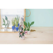Clairefontaine - Polymer clay starter kit mini plants Arts & Crafts