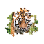 Clementoni - 1000 Piece Puzzle - the Hunter's Path Toys & Games