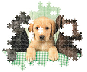 Clementoni - PZ1000:THREE LABS Games & Toys