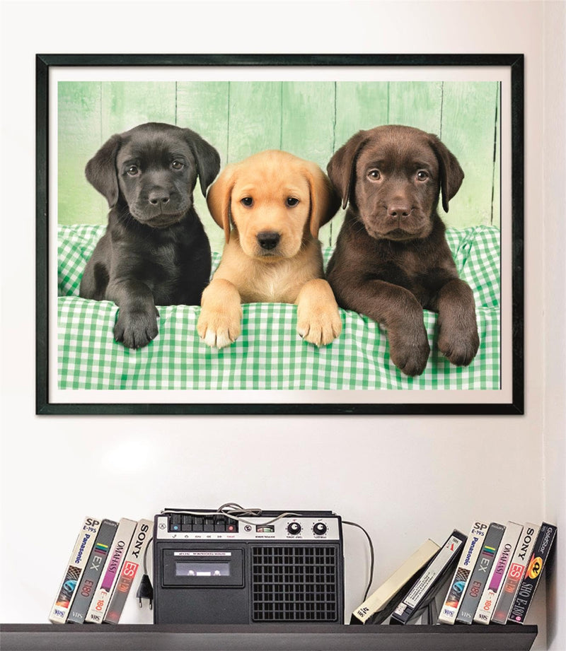 Clementoni - PZ1000:THREE LABS Games & Toys