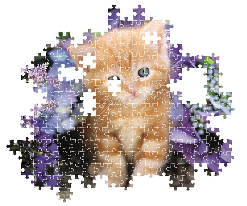 Clementoni - PZ500: GINGER CAT Games & Toys