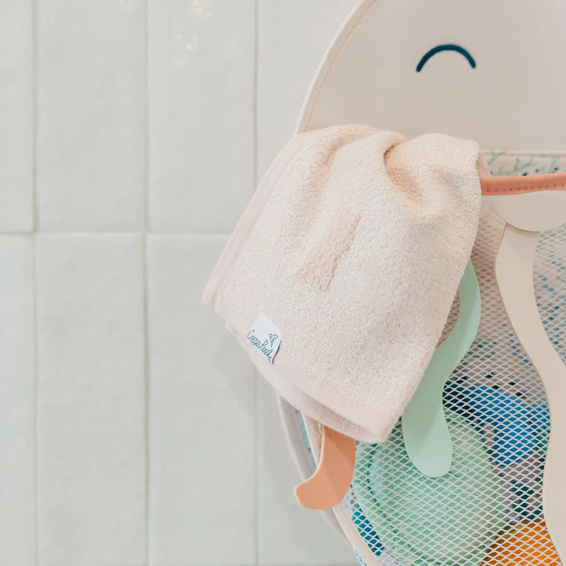 Copper Pearl Washcloths Set Mother & Baby River Colorful