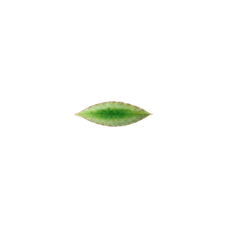 Costa Nova - Riviera Tomate Laurel Leaf Home & Kitchen