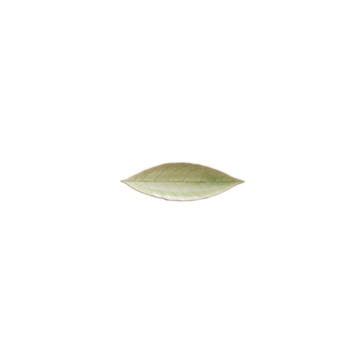 Costa Nova - Riviera Vert Frais Laurel Leaf Home & Kitchen