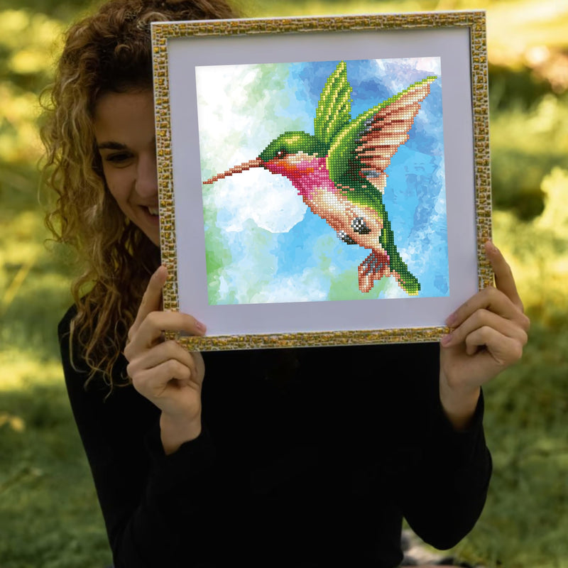 DIAMOND DOTZ - Hummingbird 36x37 Arts & Crafts