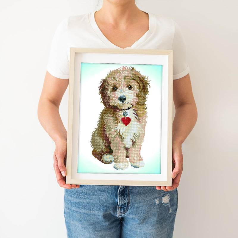 DIAMOND DOTZ - Lovely Boy 40x50 Toys & Games