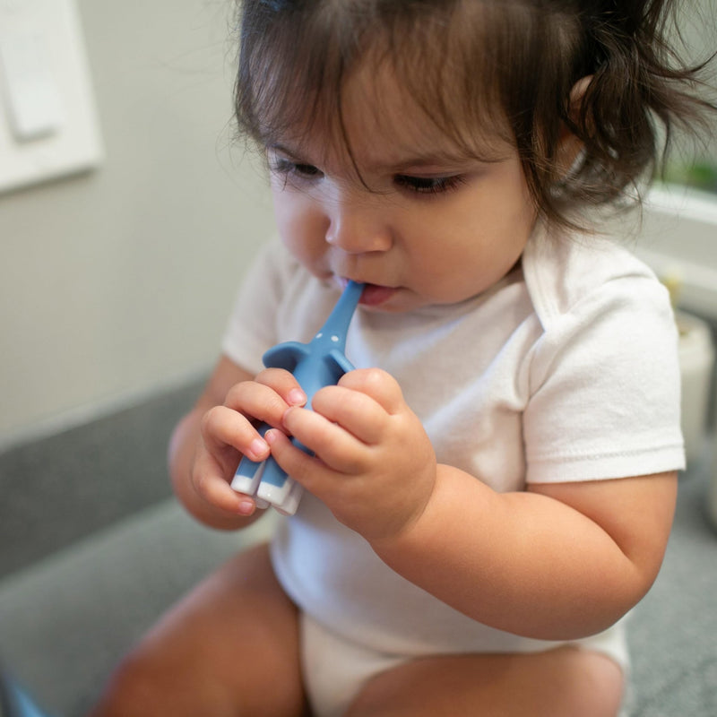 Dr Brown's - Infant - to - Toddler Toothbrush, Elephant, Blue, 1 - Pack Mother & Baby