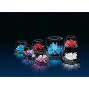 4M - FF - Crystal Growing Experiment Kit - Limolin 