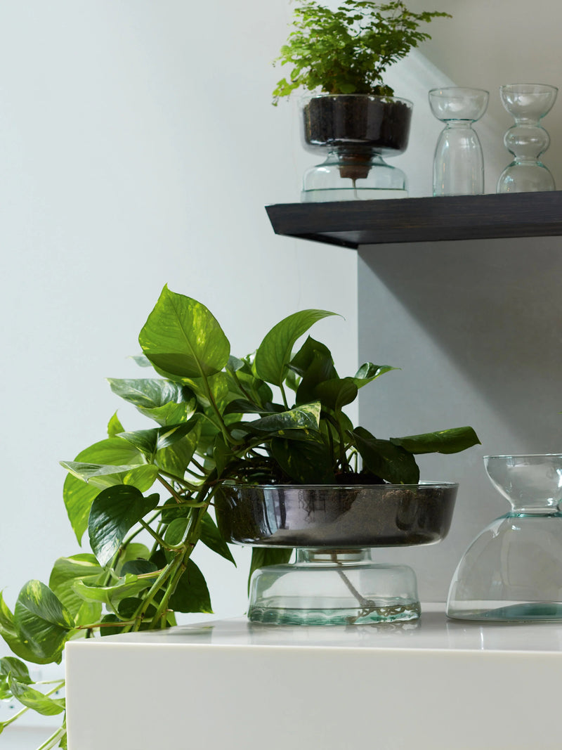 LSA - Canopy - Self-Watering Planter
