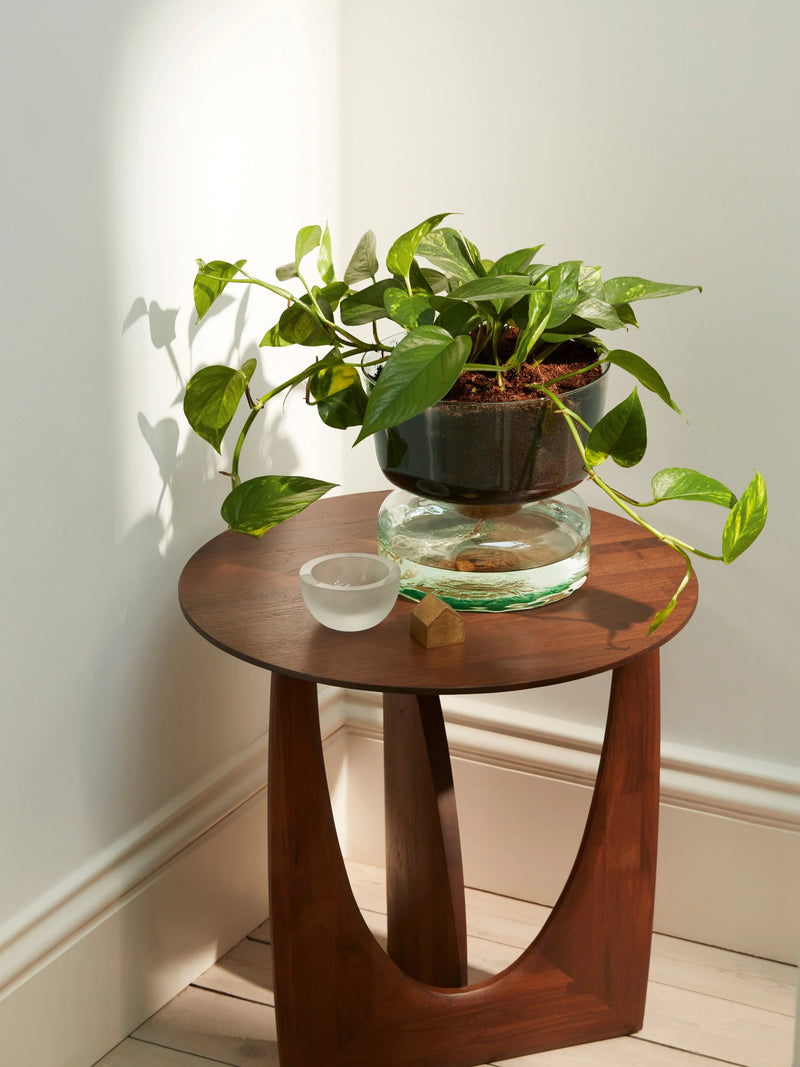 LSA - Canopy - Self-Watering Planter