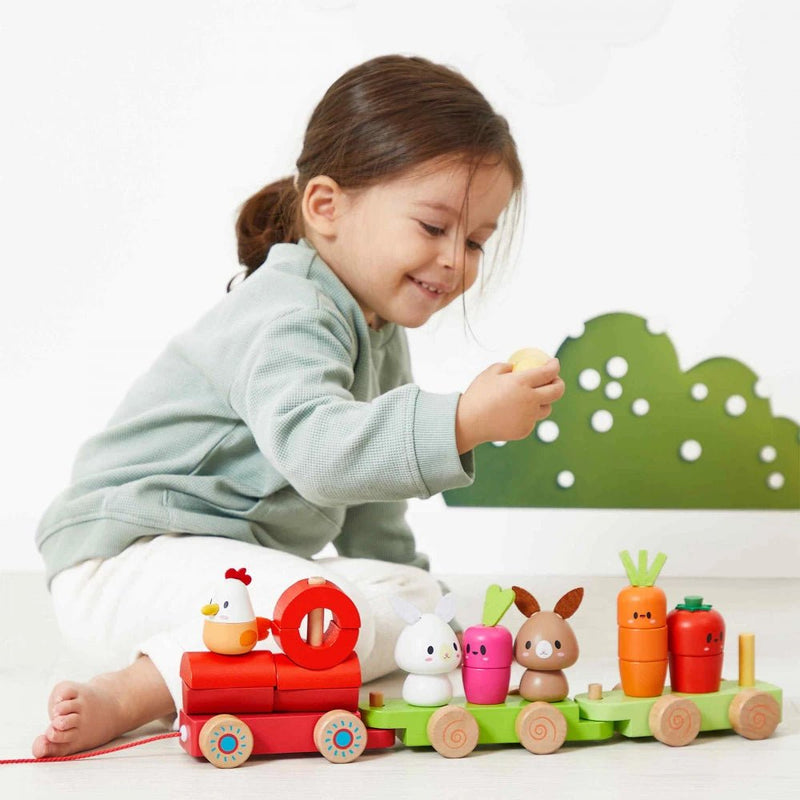 Janod - Farm Pull - along Train Games & Toys
